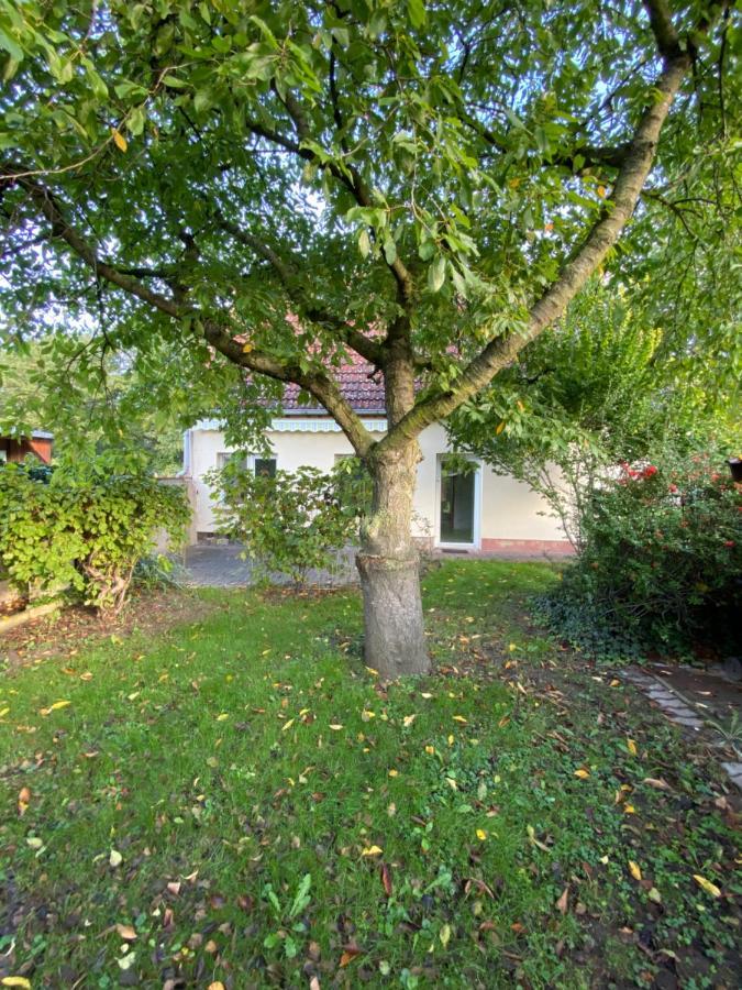 Ferienhaus Spreewald Luckau Exteriér fotografie